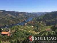 Terreno Edificavel - Vistas sobre Rio Douro