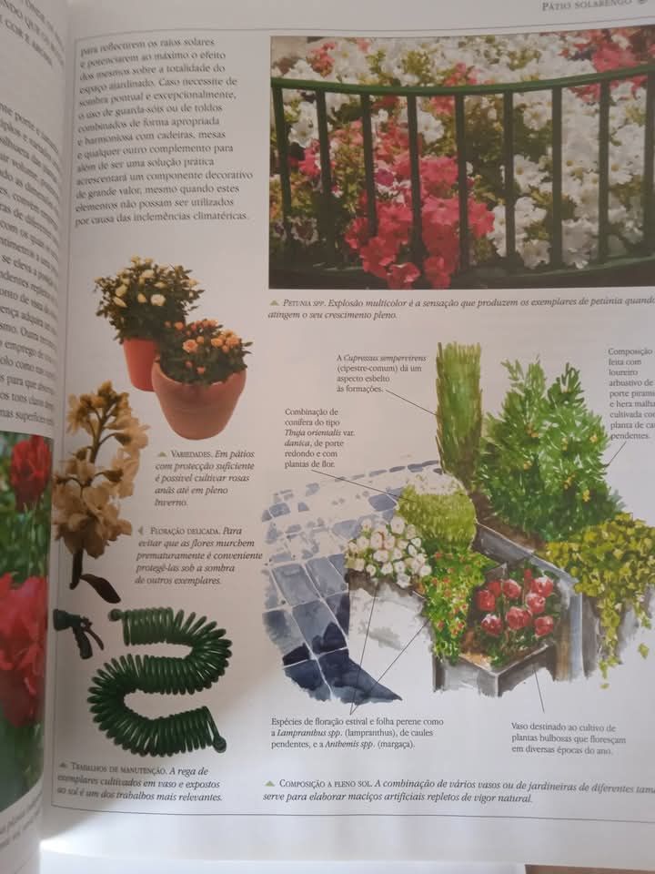 Plantas para Pátios