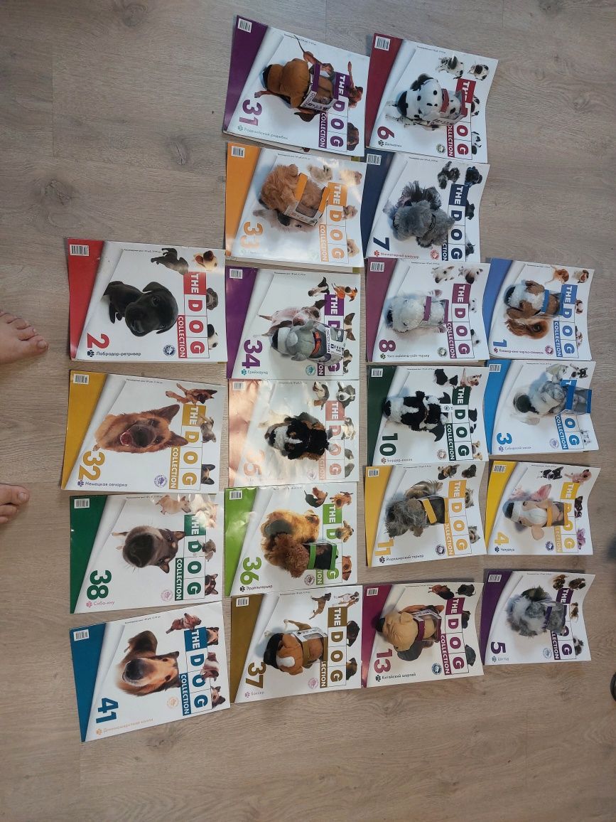The dog collection