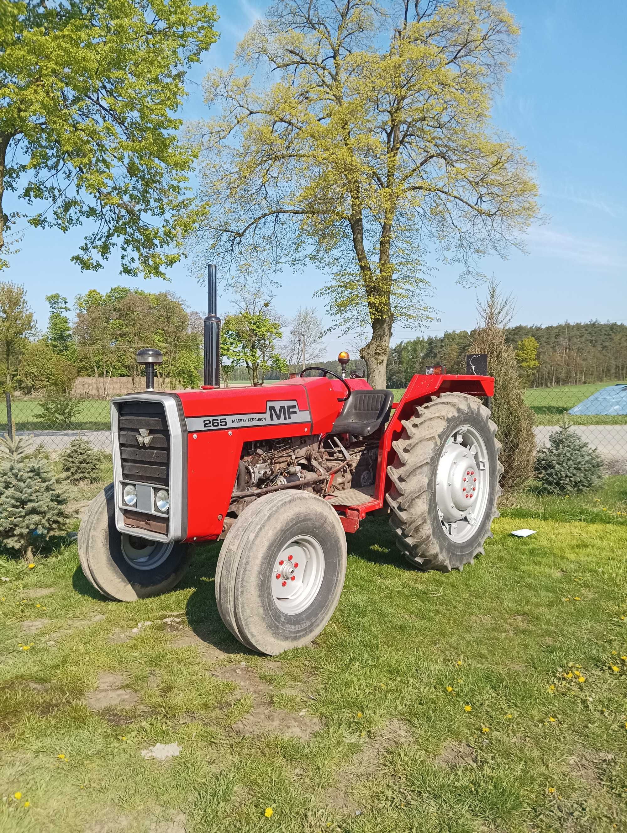 Ciągnik Rolniczy Massey Ferguson 265