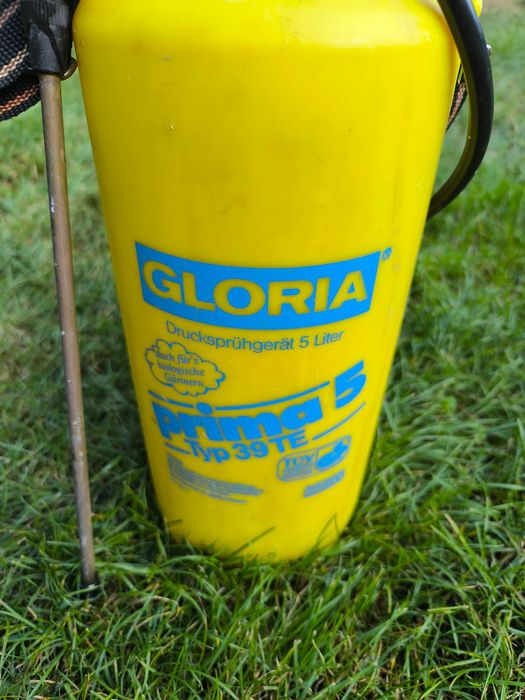 opryskiwacz ciśnieniowy  gloria 5 l 39 te