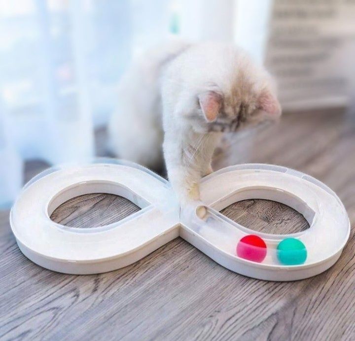 Игрушка,  игра для кошек