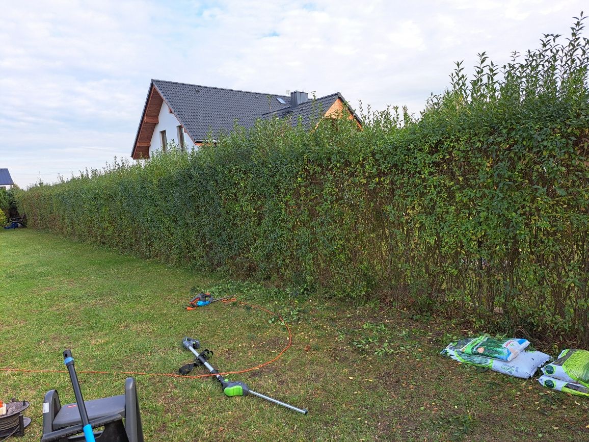 Koszenie trawy, trawników, prace ogrodowe / Faktura Vat