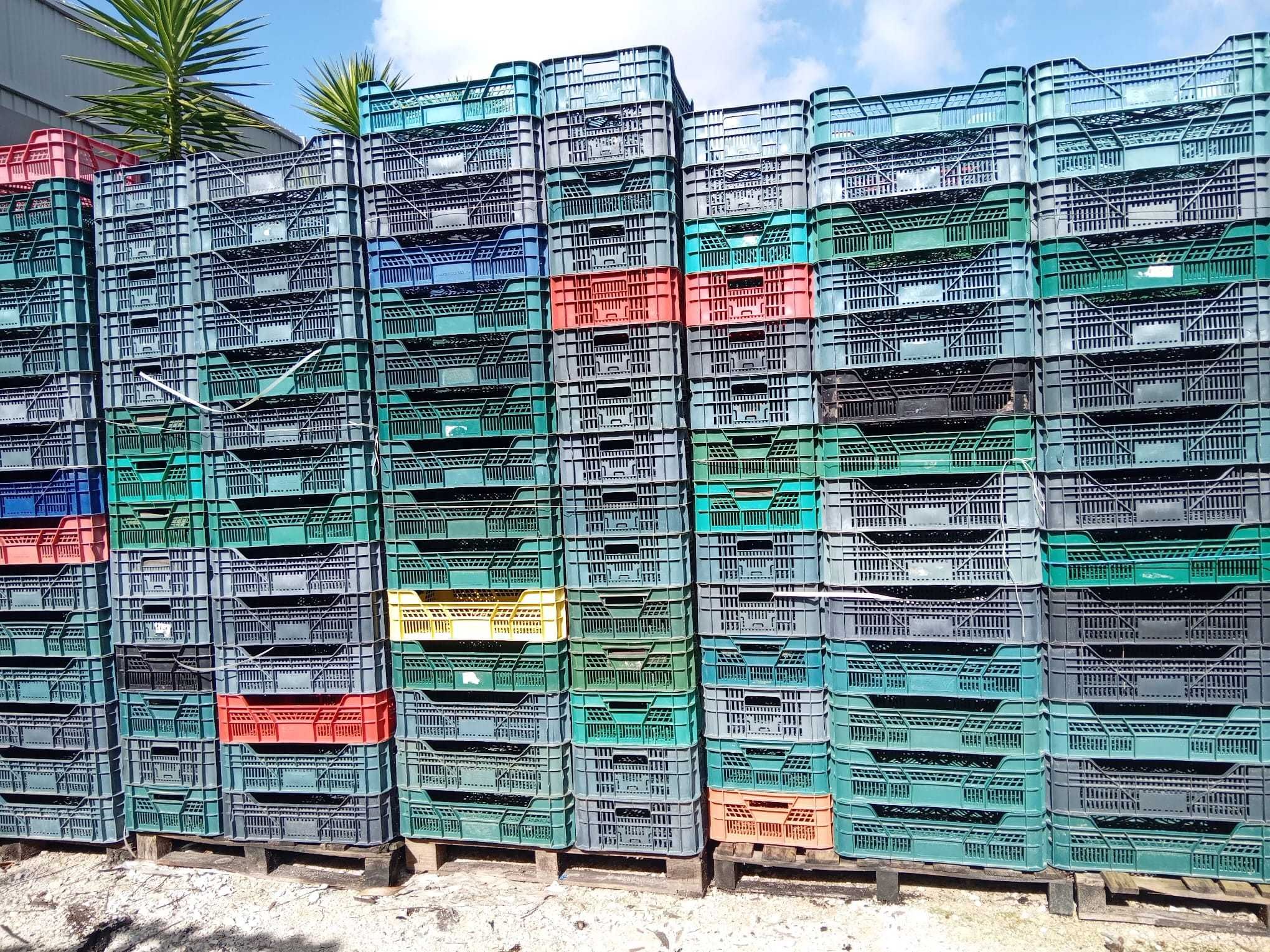 Caixa Plástica Fruta