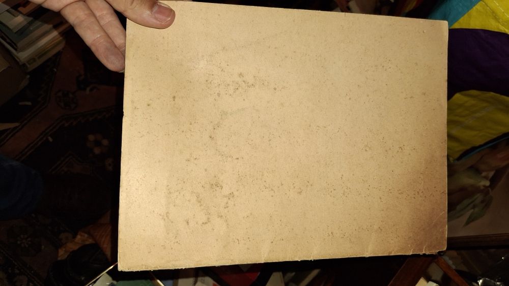 M Teixeira gomes Ana Rosa 1941 novela erótica