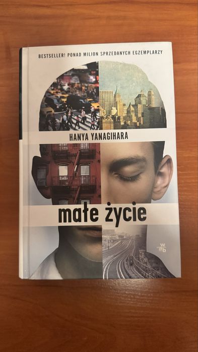 Książka Małe Życie