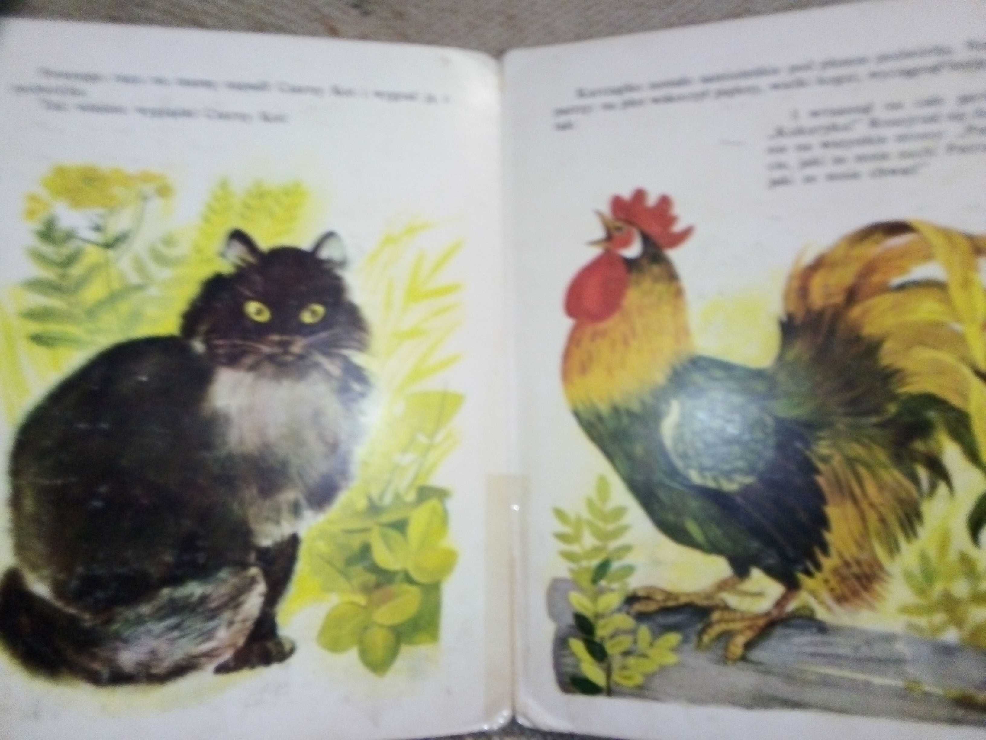 Kurczątko Korniej Czukowski 1986r książeczka dla dzieci