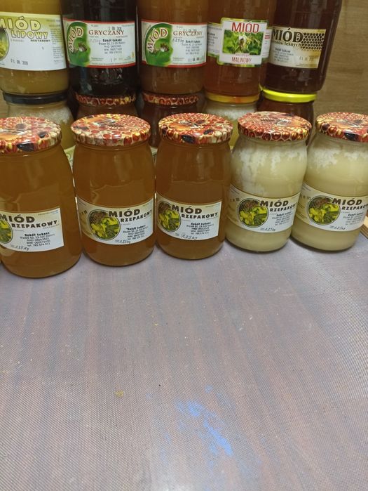 Miód rzepakowy z własnej pasieki 1,25 kg