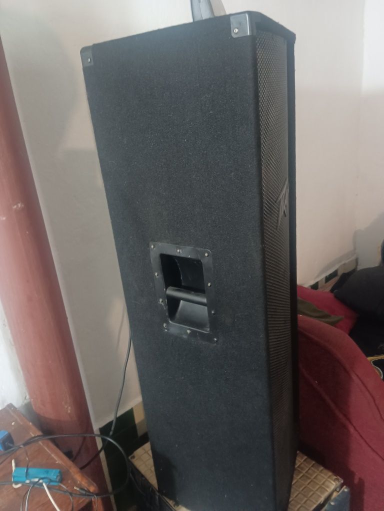 Акустическая система Peavey