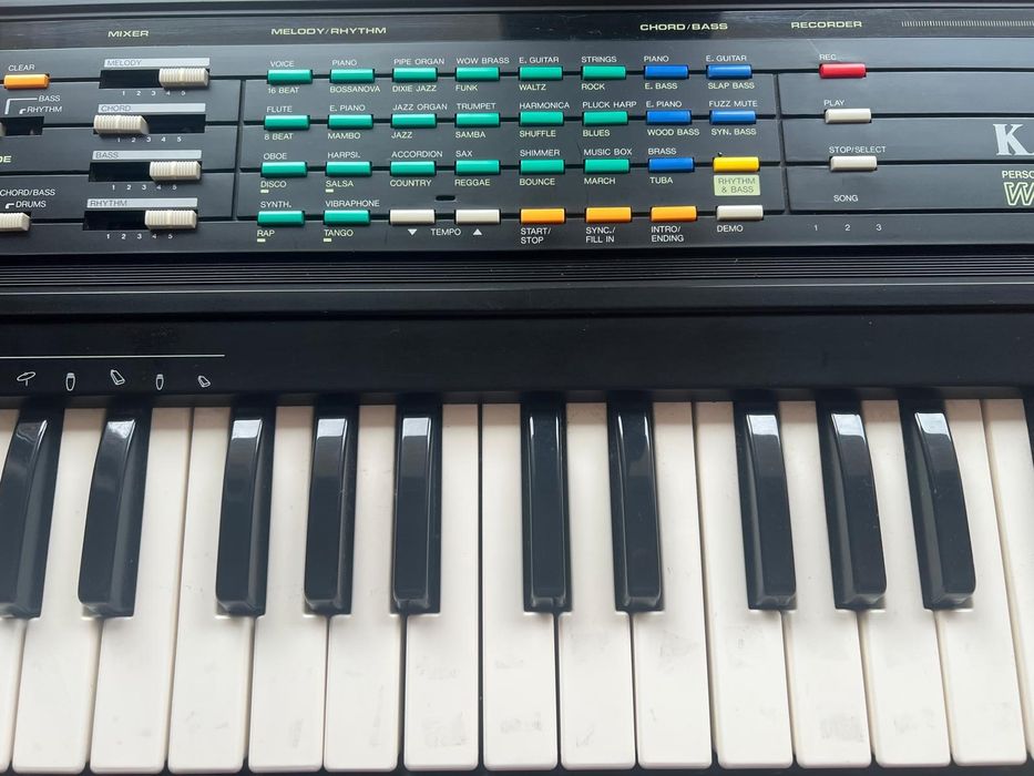 Kawai WK-40 – Teclado Electrónico 49 Teclas + Carregador