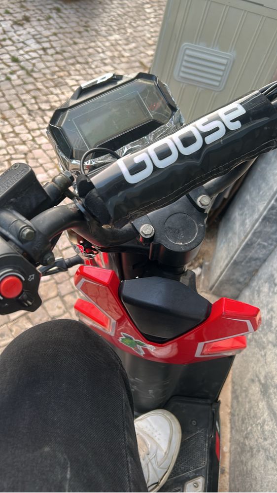 Goose one s power