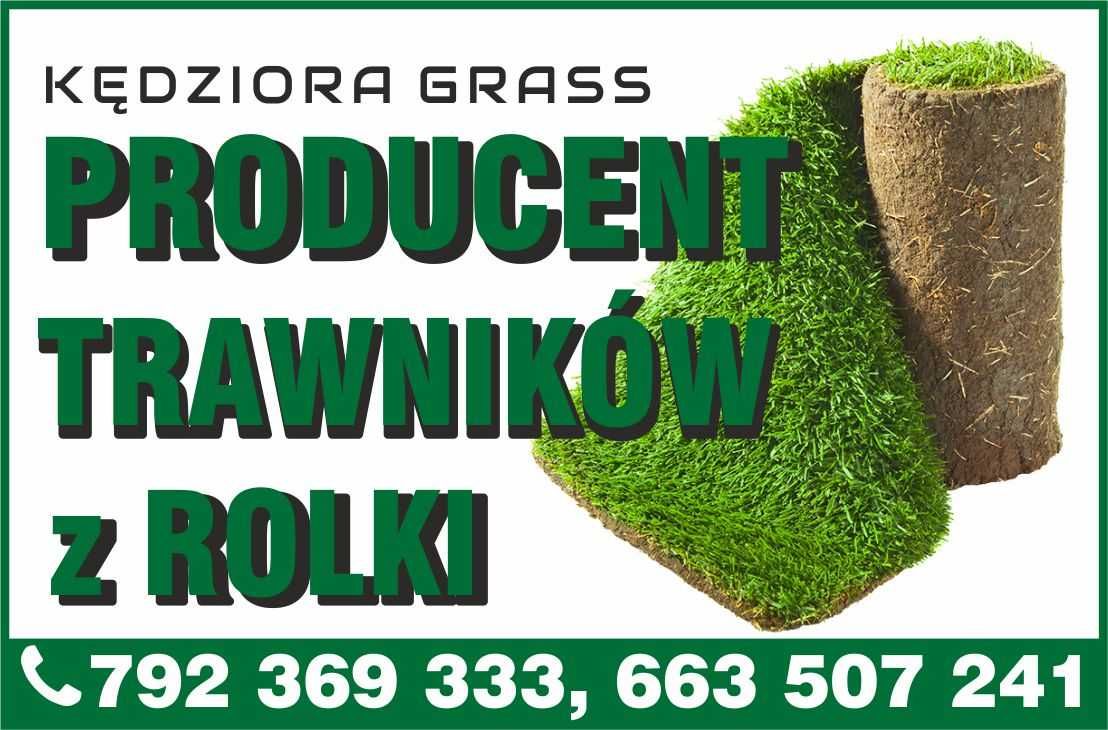 Trawa z rolki, premium, producent