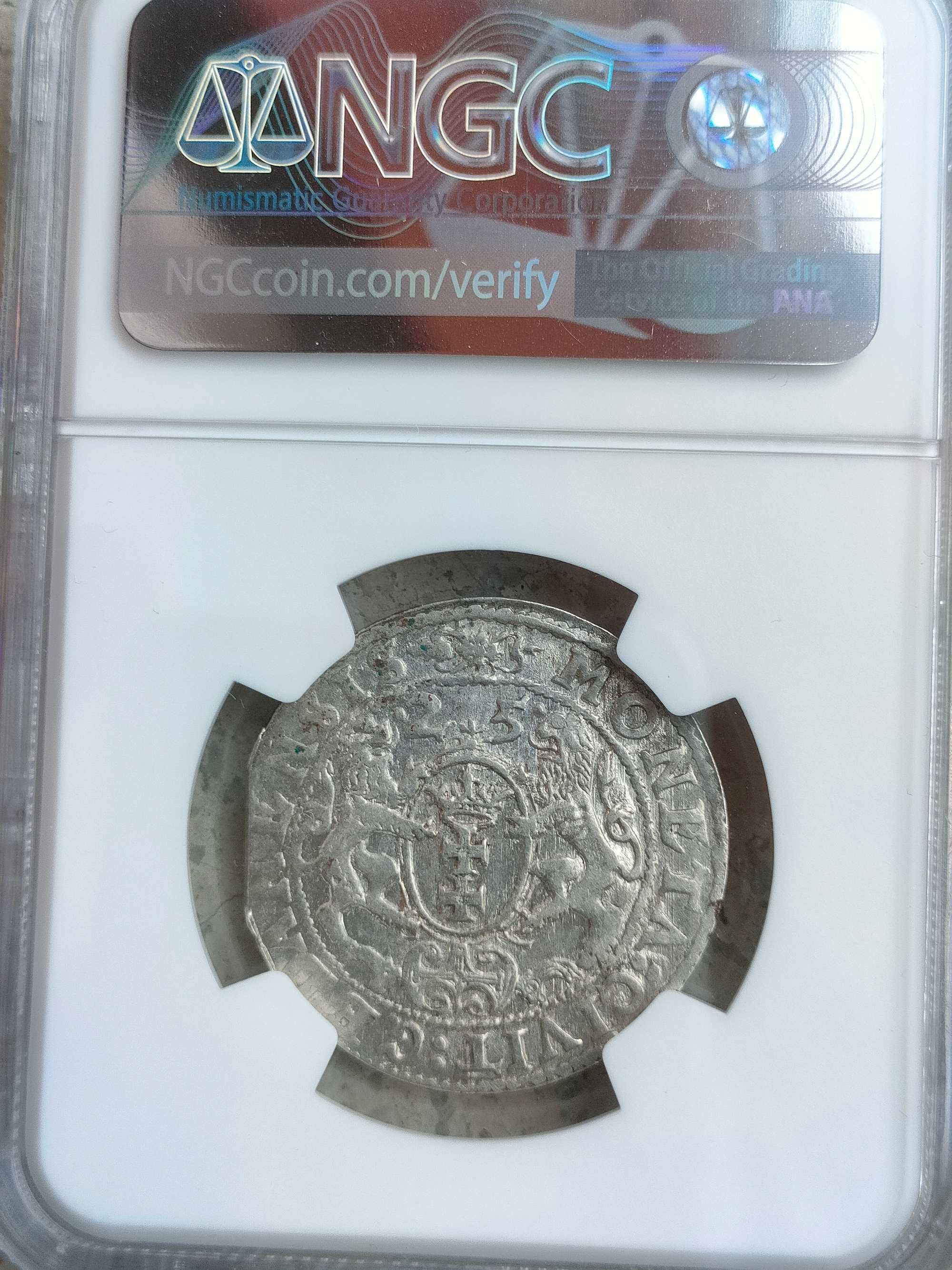 Ort 1625 Gdańsk Zygmunt III Waza NGC piękny