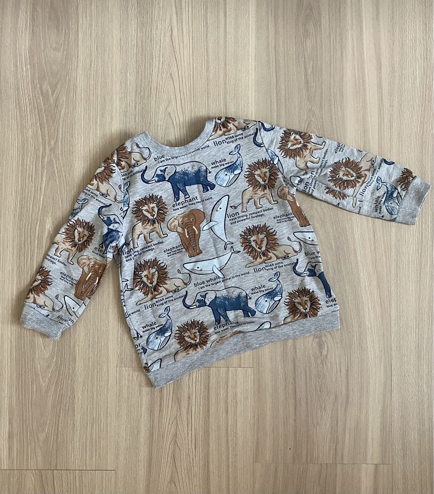 Komplet zestaw dres bluza i spodnie zoo lew słoń
