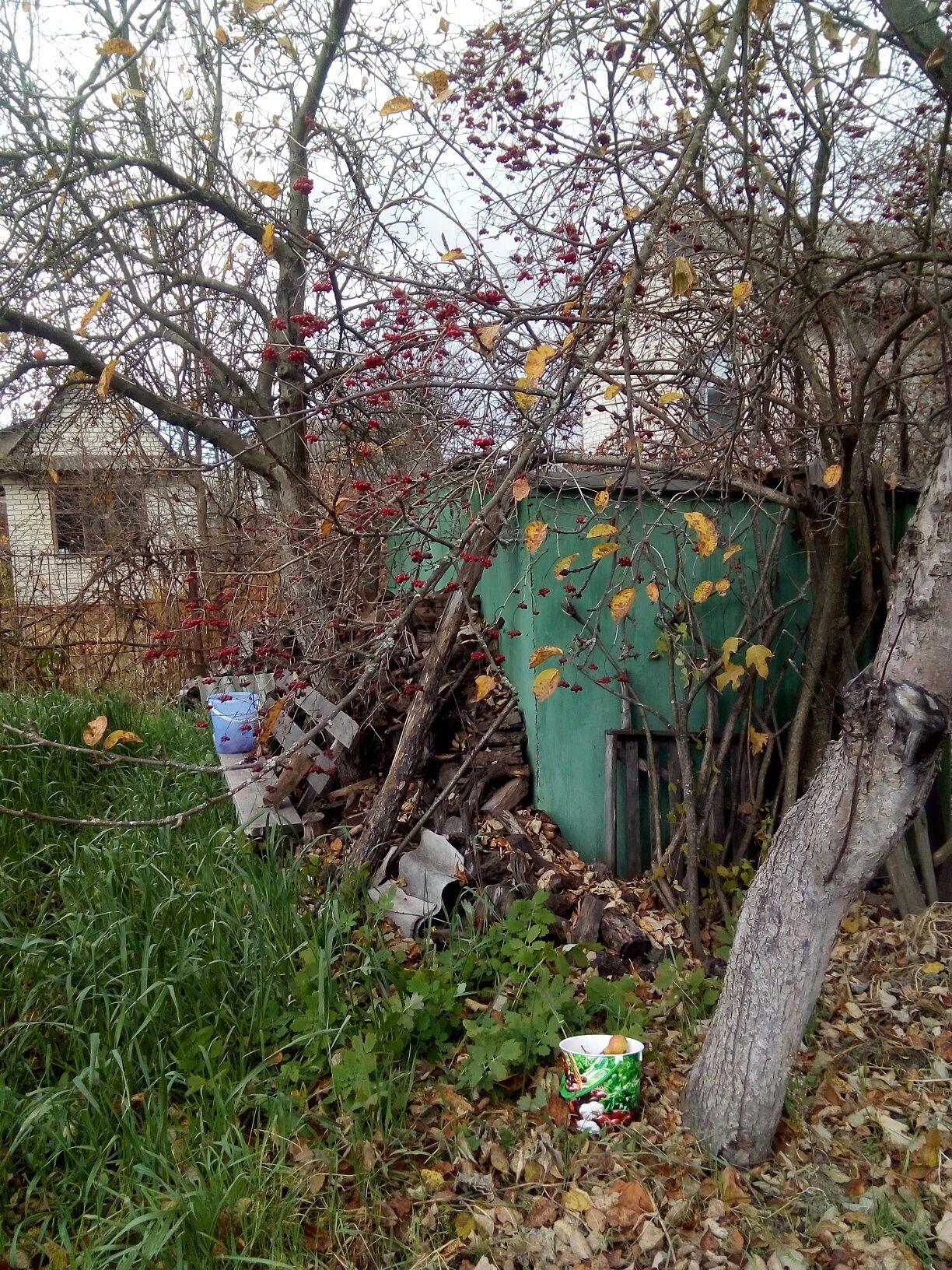 Дві присадибні ділянки СТ  Рівнопілля від одного господаря