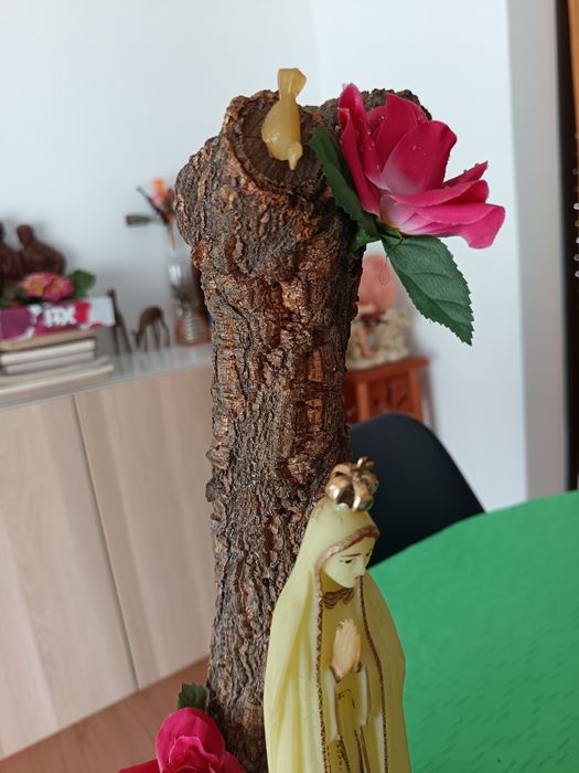 Imagem Sr. Fátima fluorescente