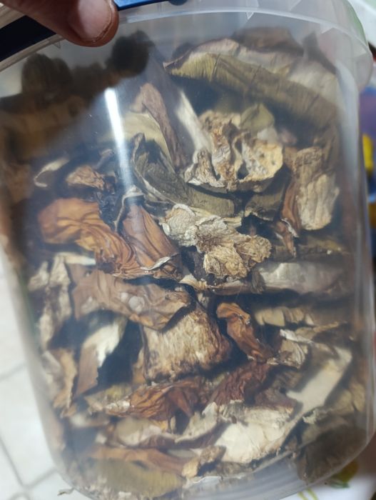 Продаю сушені гриби