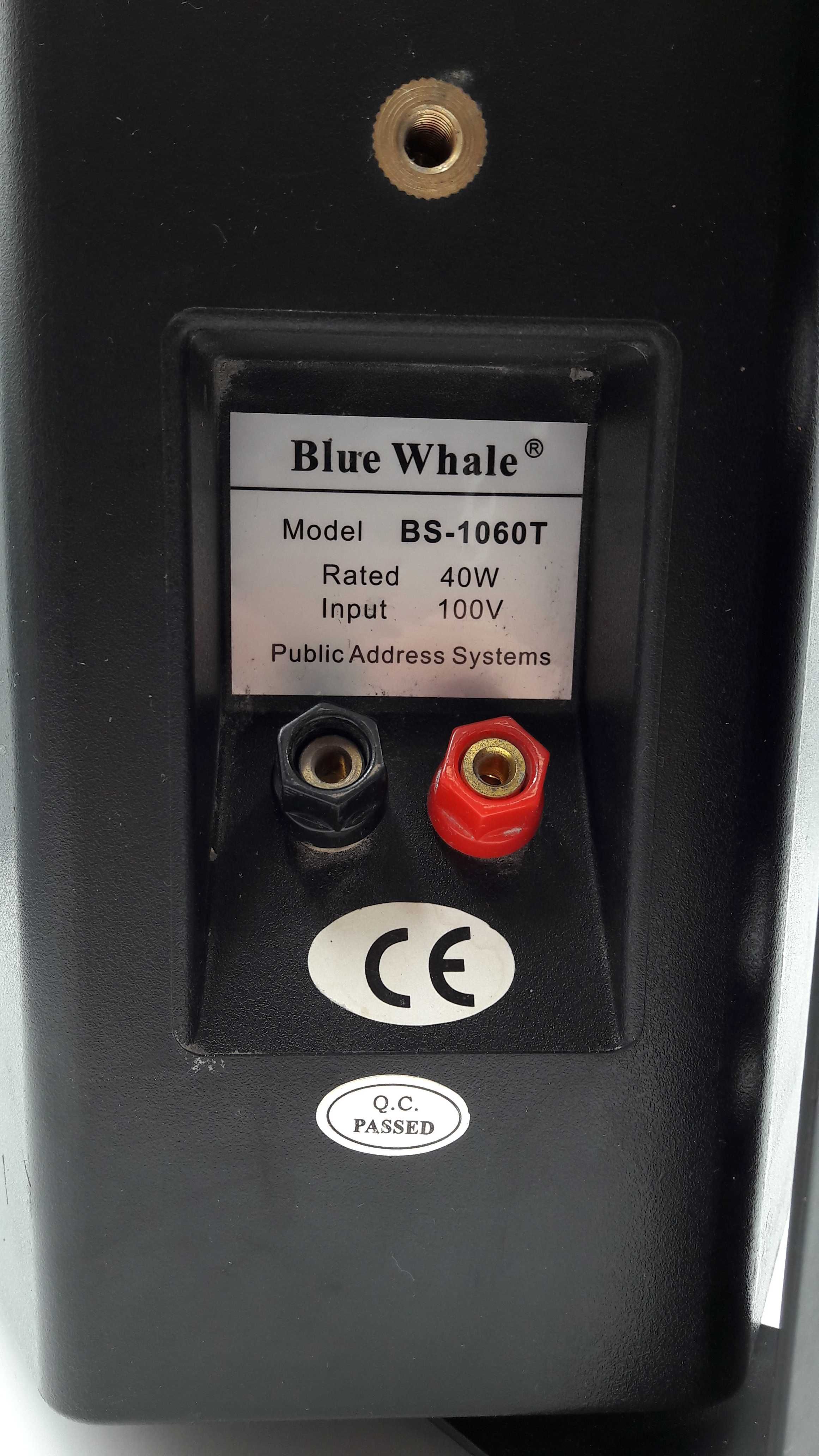 Głośnik Kolumna Blue Whale BS-1060T 100V sprawny