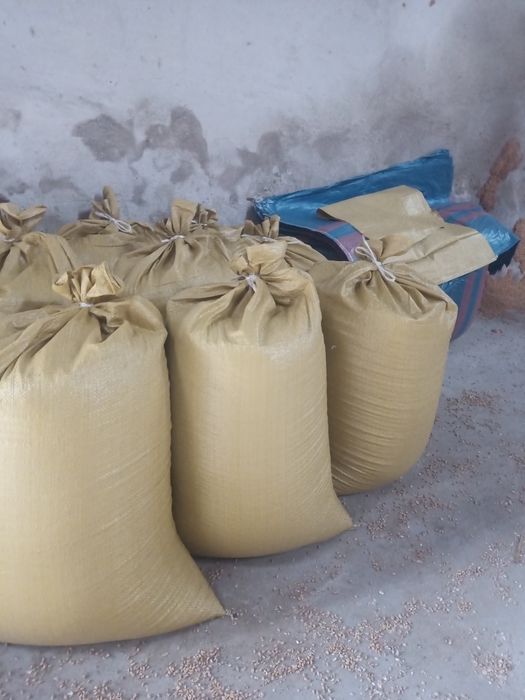 Pszenica dla drobiu na mąkę (rok po centrali)itp.