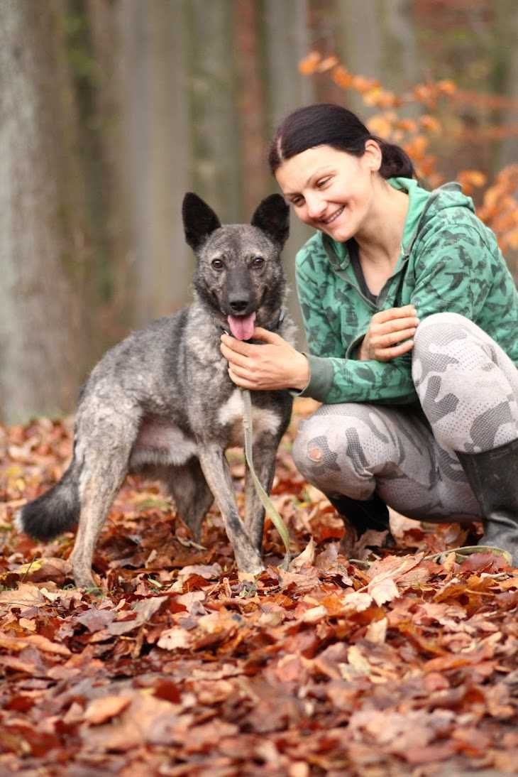 GUFI - boi się schroniska, ale tuli się do ludzi. {FILMIKI}