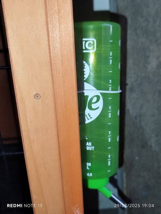 Coelheira de madeira