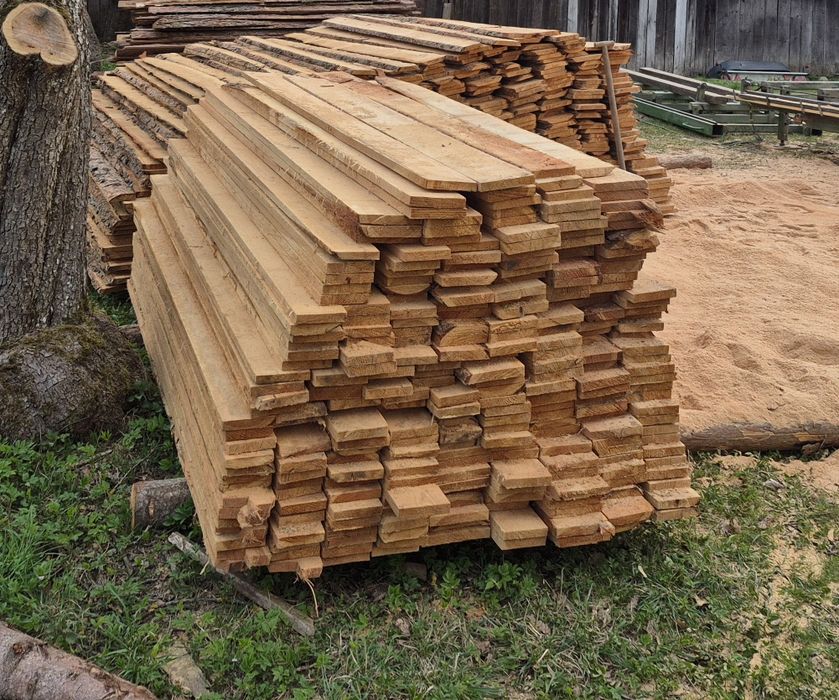 Deska Modrzew 2.5 cm