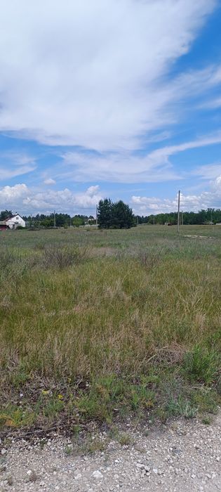 Земельна ділянка у СТ "Мрія", р.Сомівка, Петріківський р-н!