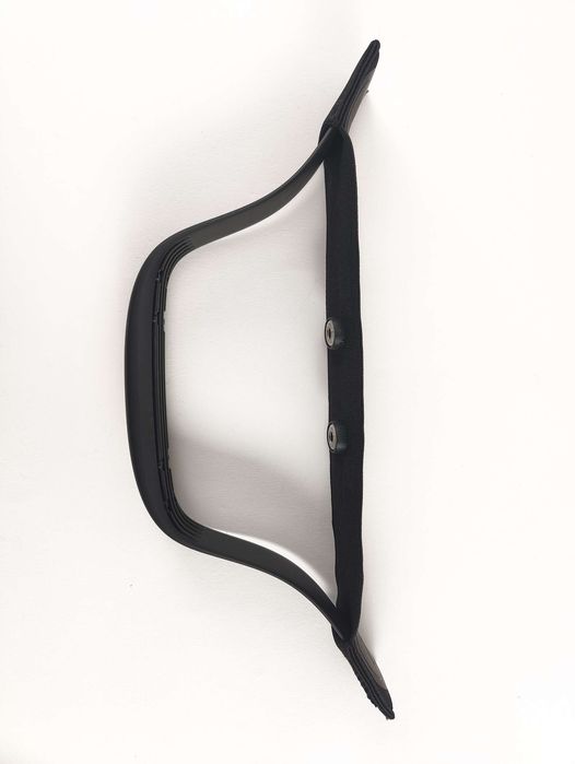 Czujnik tętna Polar Equine do analizy chodu koni