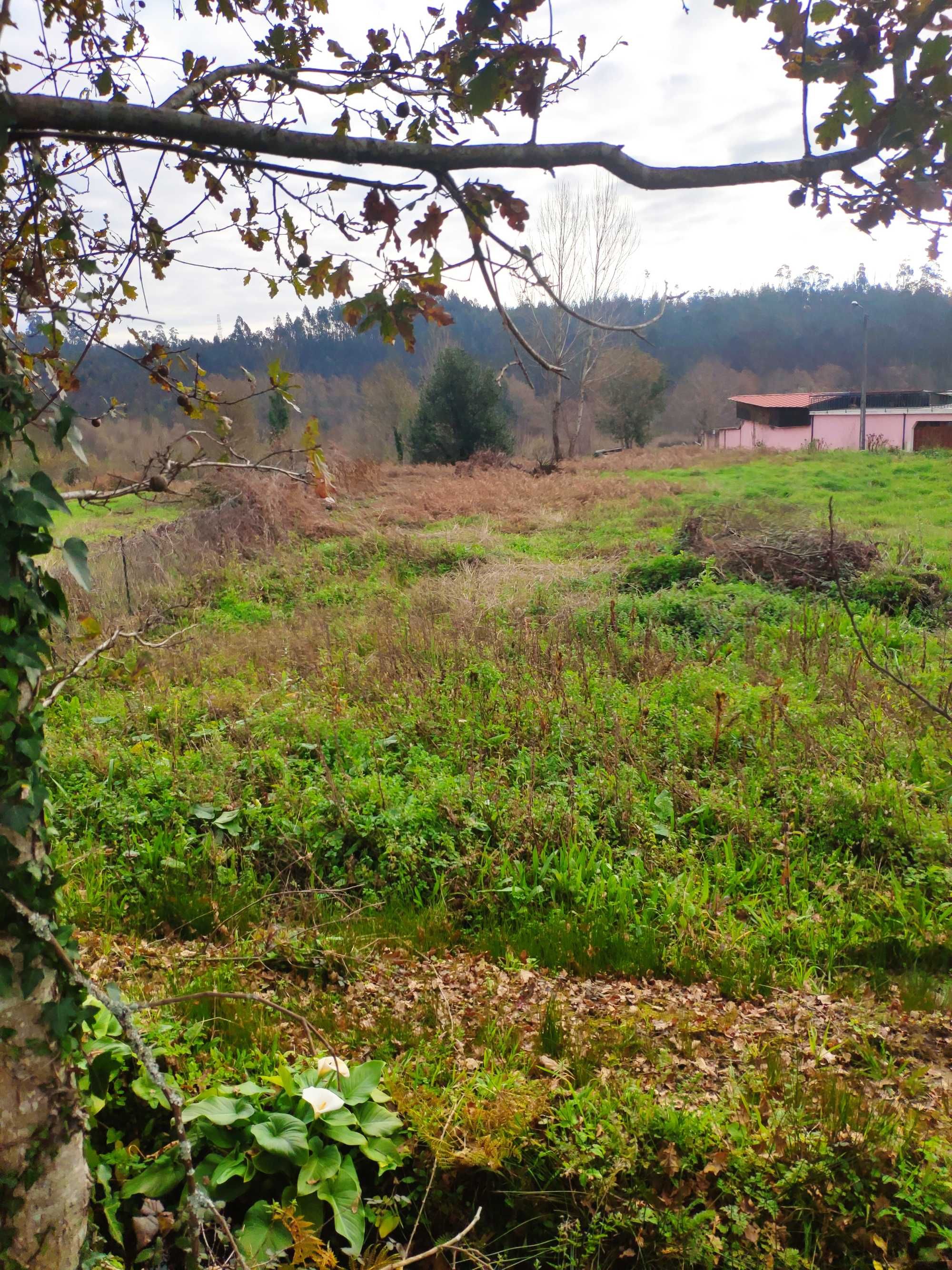 Terreno Construção 2182 m² - Parada de Gatim/Vila Verde