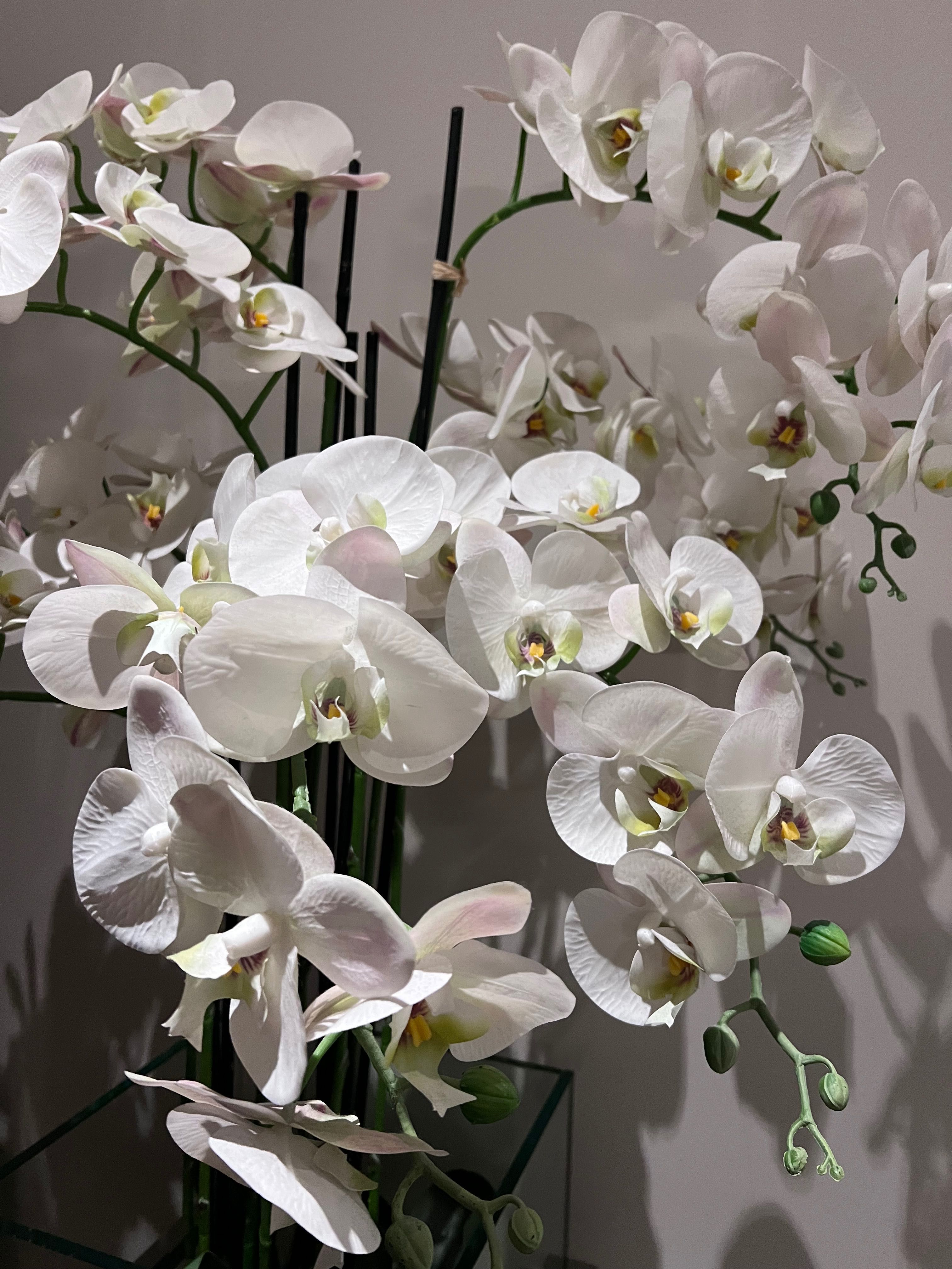 Orquídea decorativa branca artificial