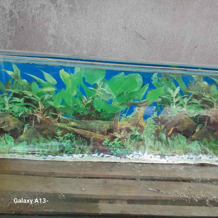 Акваріум б/в 240 літрів