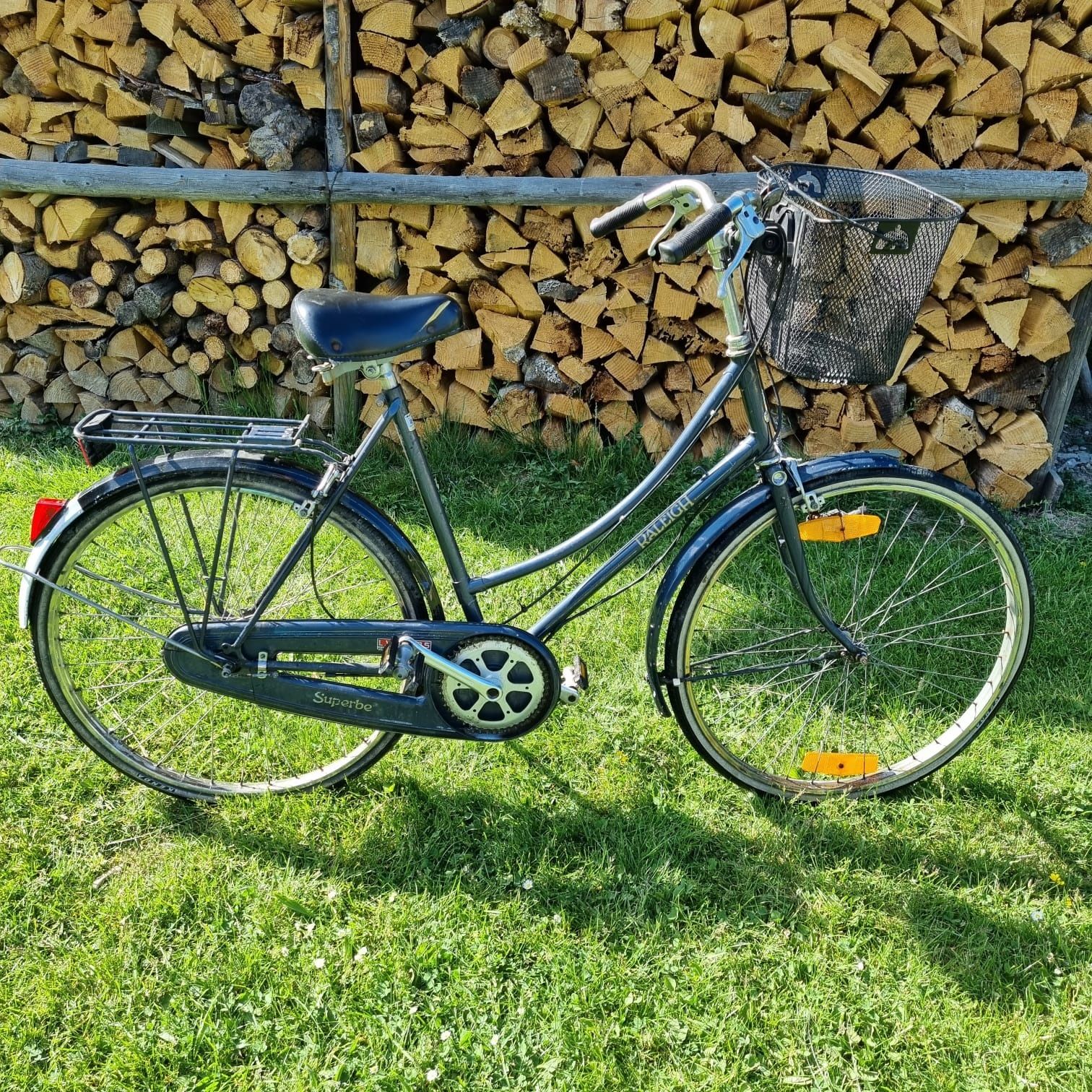 Rower Raleigh damka