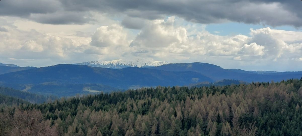 Ważka  noclegi pod Leskowcem