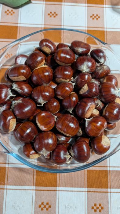Vendo castanhas amarlal