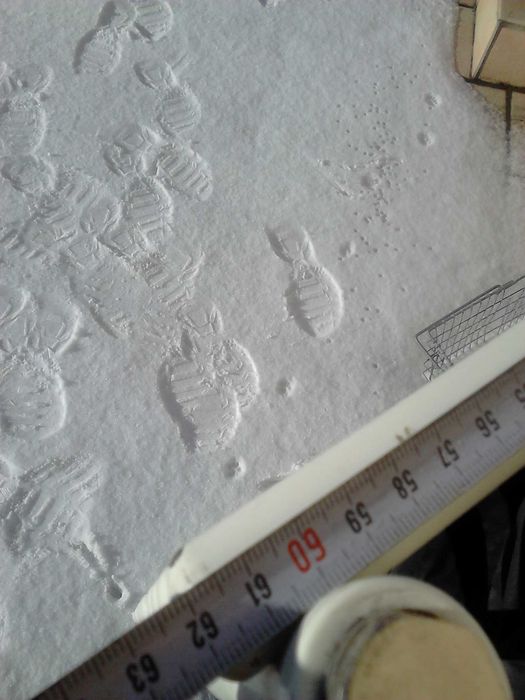 Grzejnik panelowy z termostatem