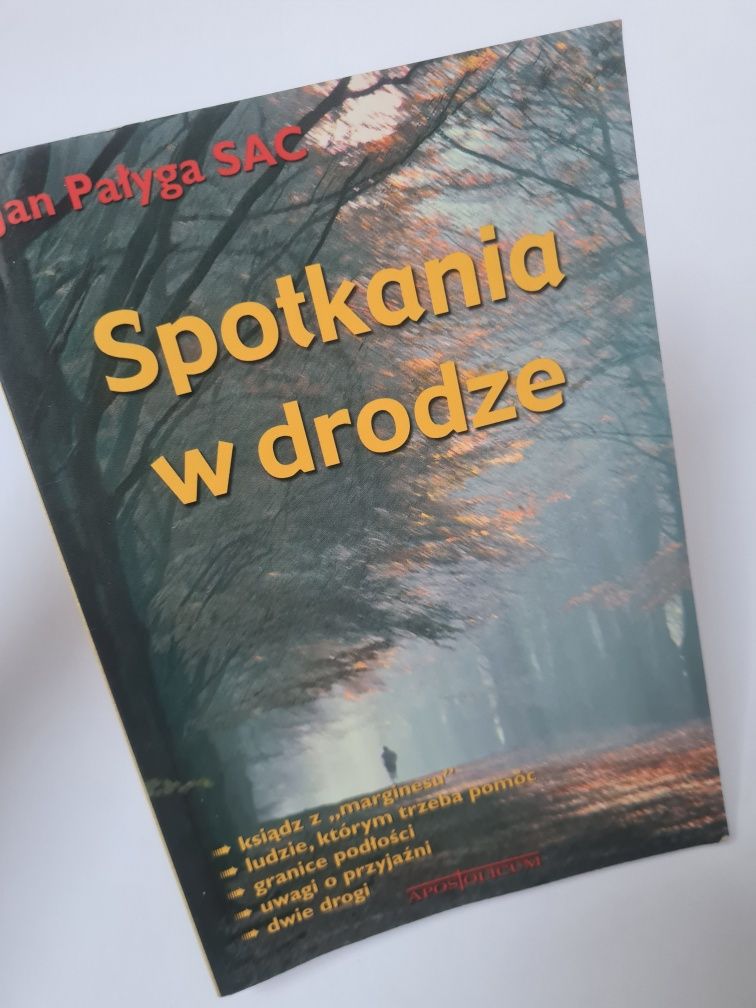 Spotkania w drodze - Jan Pałyga SAC