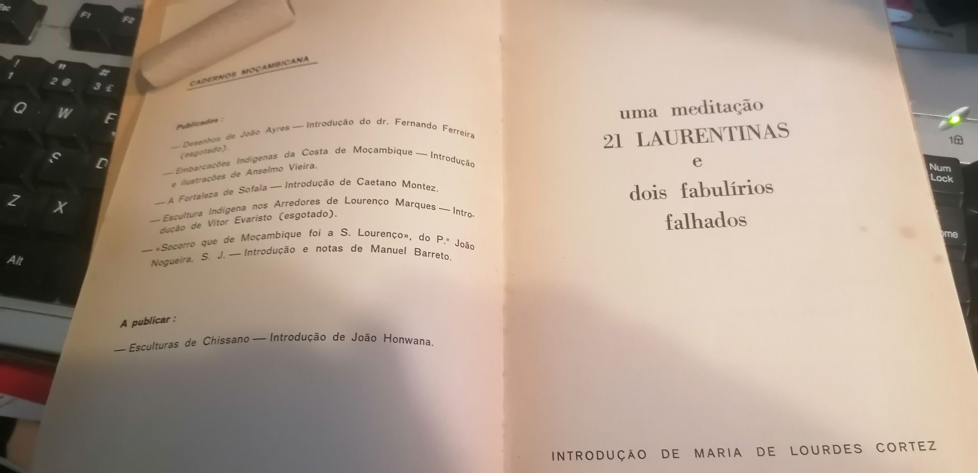 João poesia Pedro Grabato Dias| António Quadros. Uma meditação,