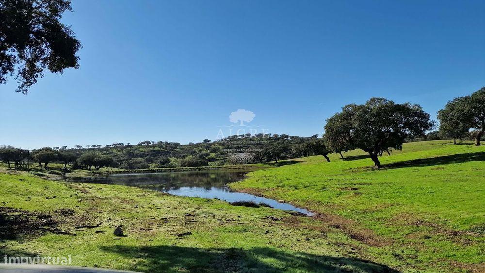 Herdade Ganadeira E Suinocultura