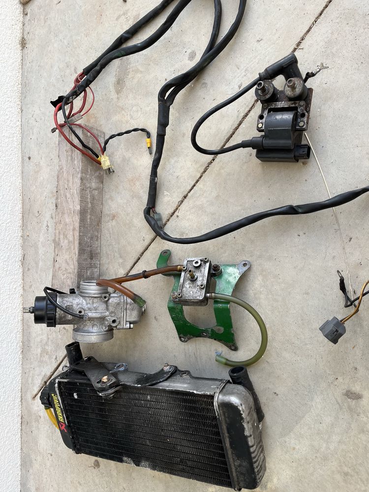 Motor rotax max 125cc