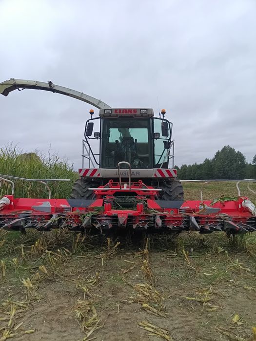 IMPORT Claas jaguar 900
