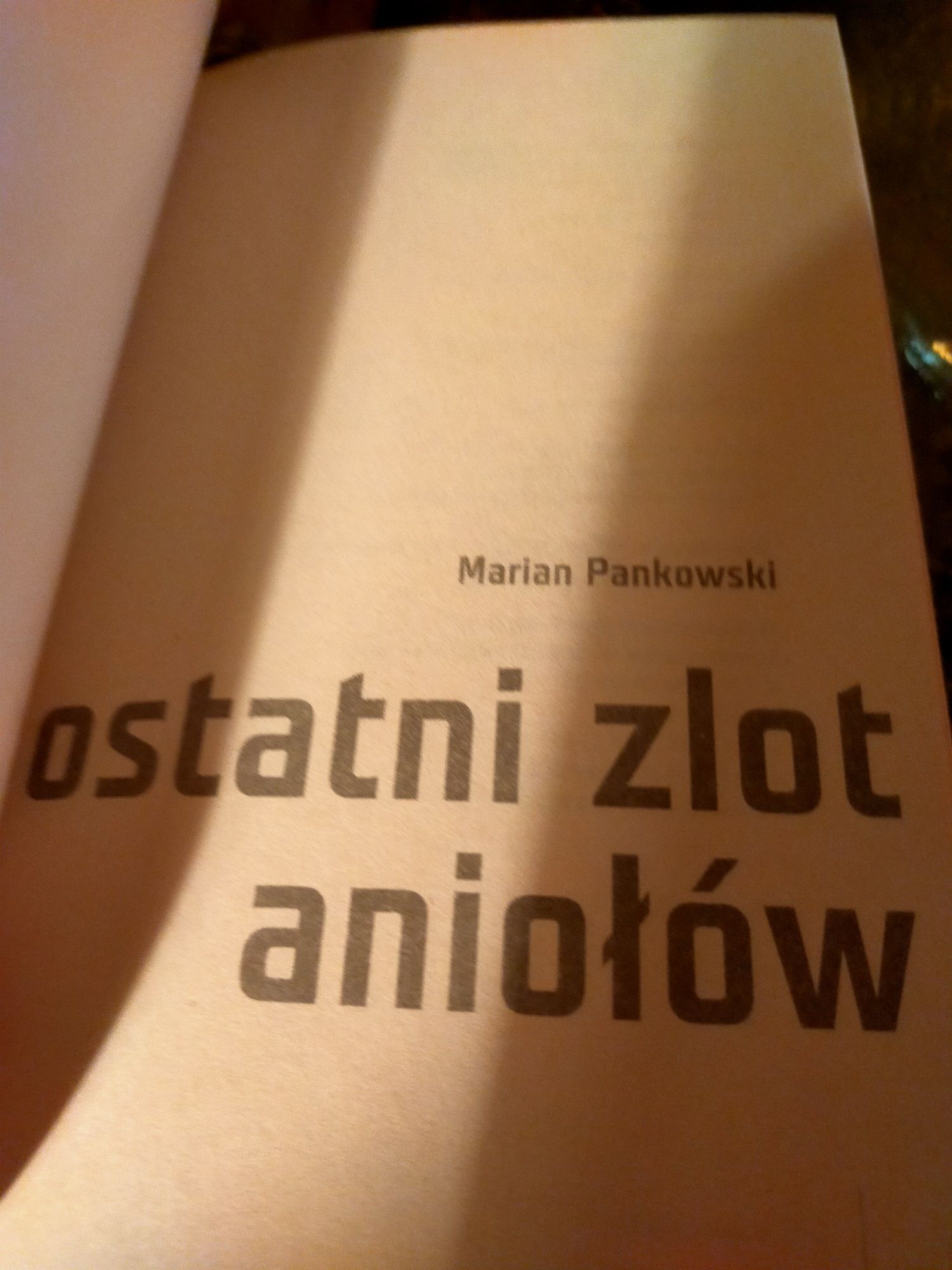 Ostatni zlot aniołów Marian Pankowski