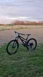 Dartmoor Bluebird Intro 2023