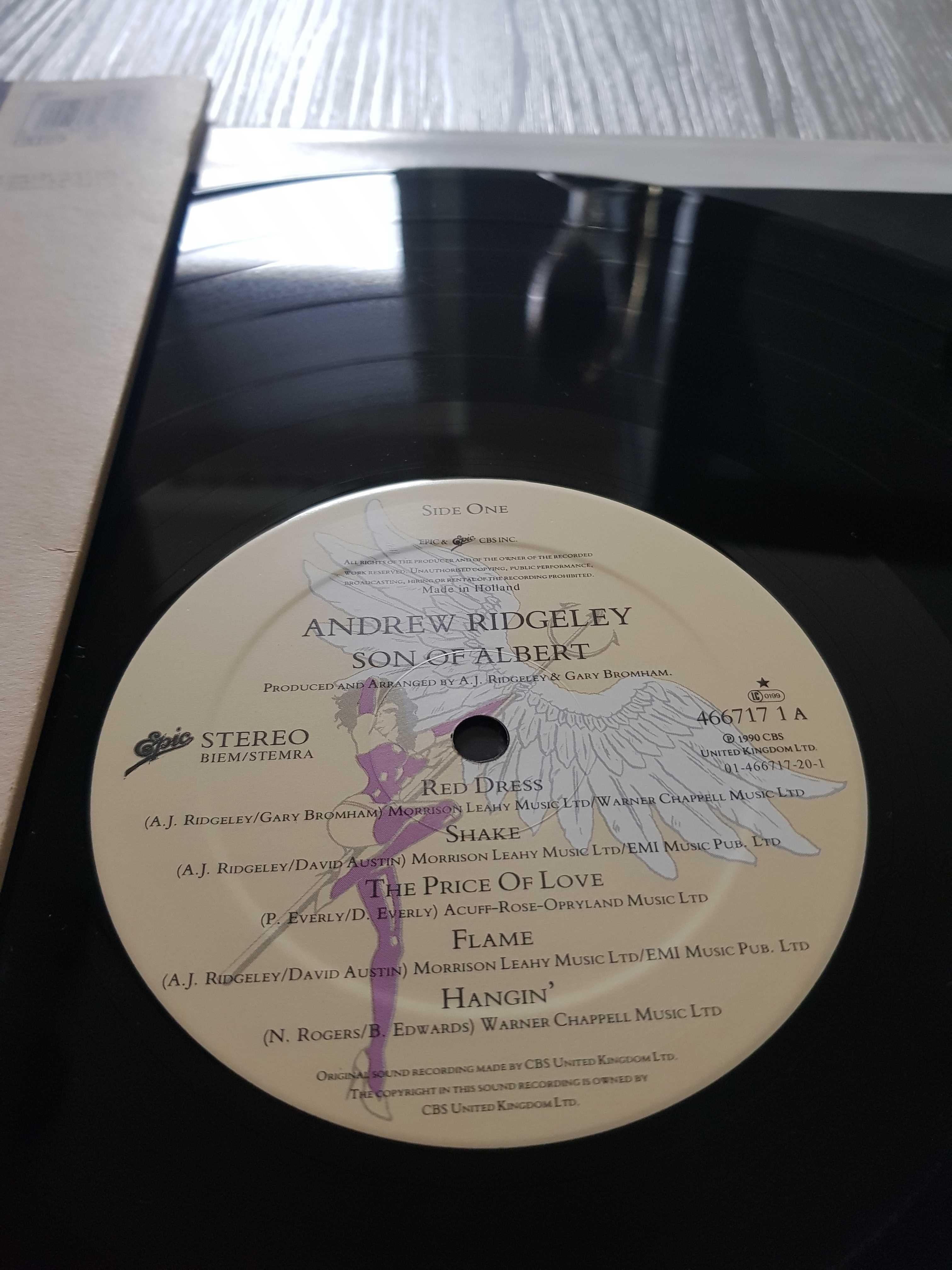 Andrew Ridgeley – Son Of Albert LP*3321