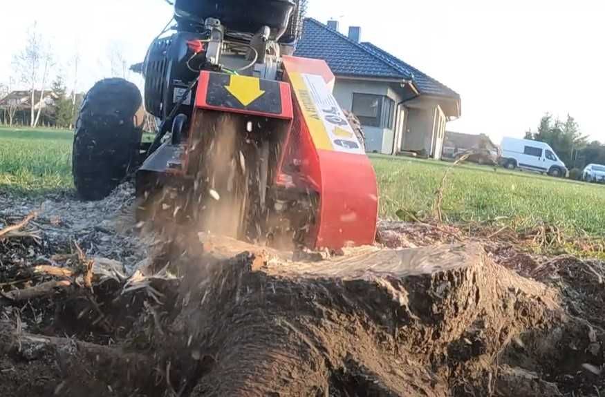 Frezarka do usuwania pni korzeni drzew frez Cedrus FR01 wynajem mocna