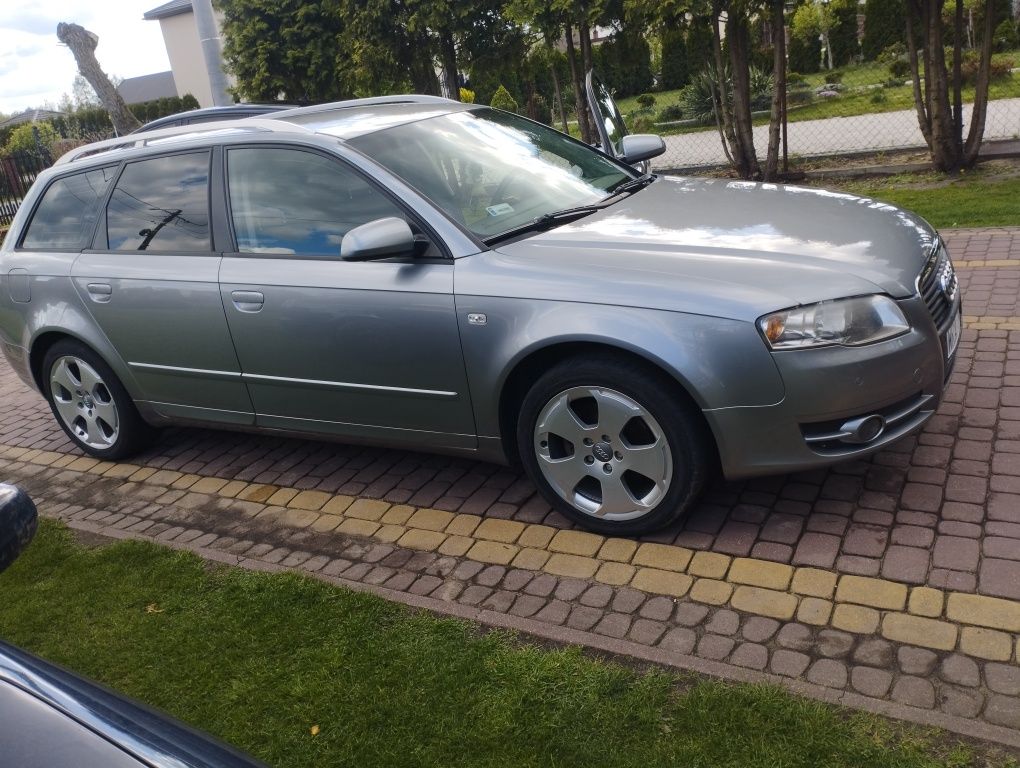Audi A4b7 2.0 b+g