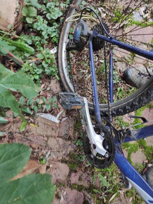 Rower Merida Kalahari 530