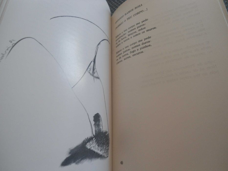 Eros de passagem-Poesia Erótica Contemporânea (1982)