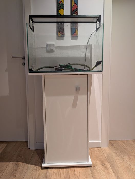 Kit completo Aquário 70L + Móvel Suporte (oportunidade)
