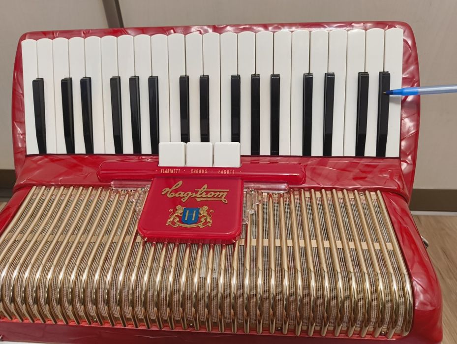 Akordeon Hagstrom Rosita 96 basowy