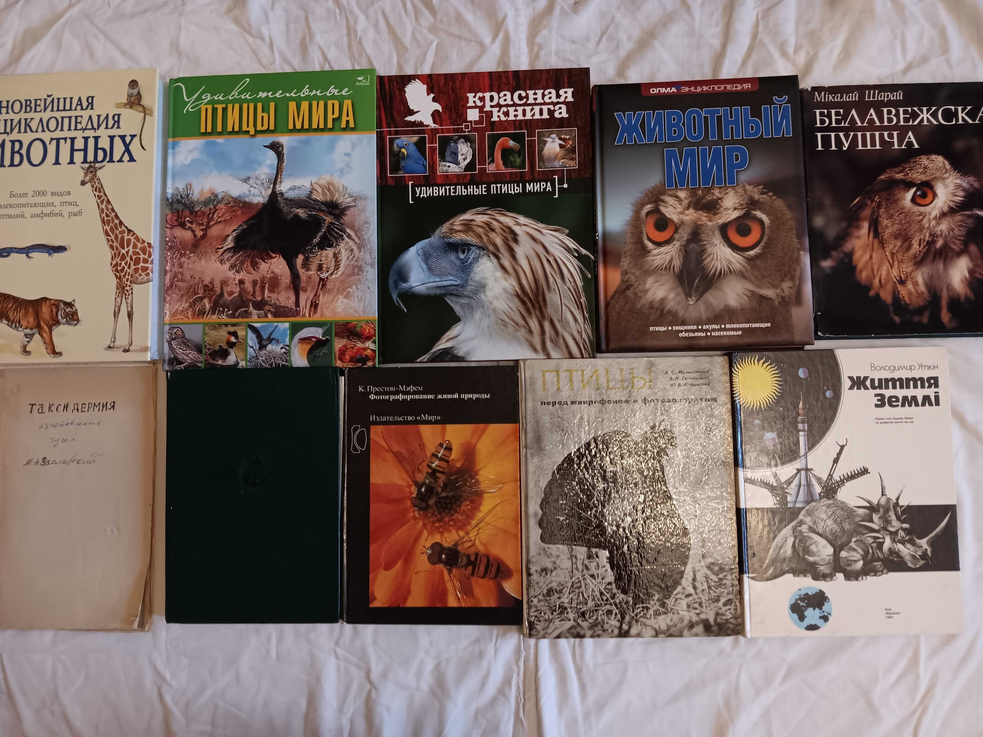 энциклопедия животных птиц планеты Красная книга Соседи по планете